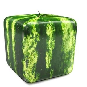 Meet your Posher, Pang